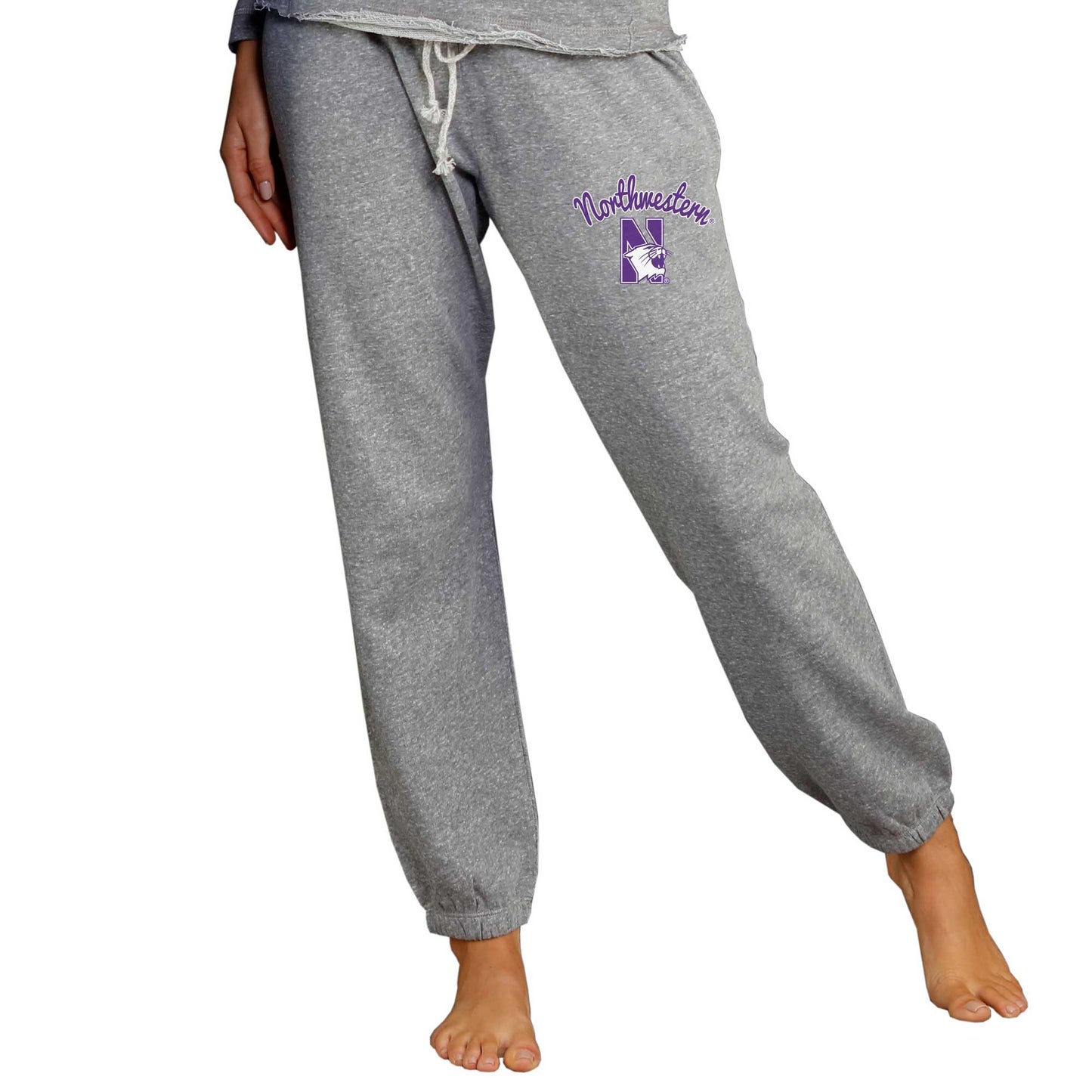 Women's Concepts Sport Gray Northwestern Wildcats Mainstream Knit Jogger Pants