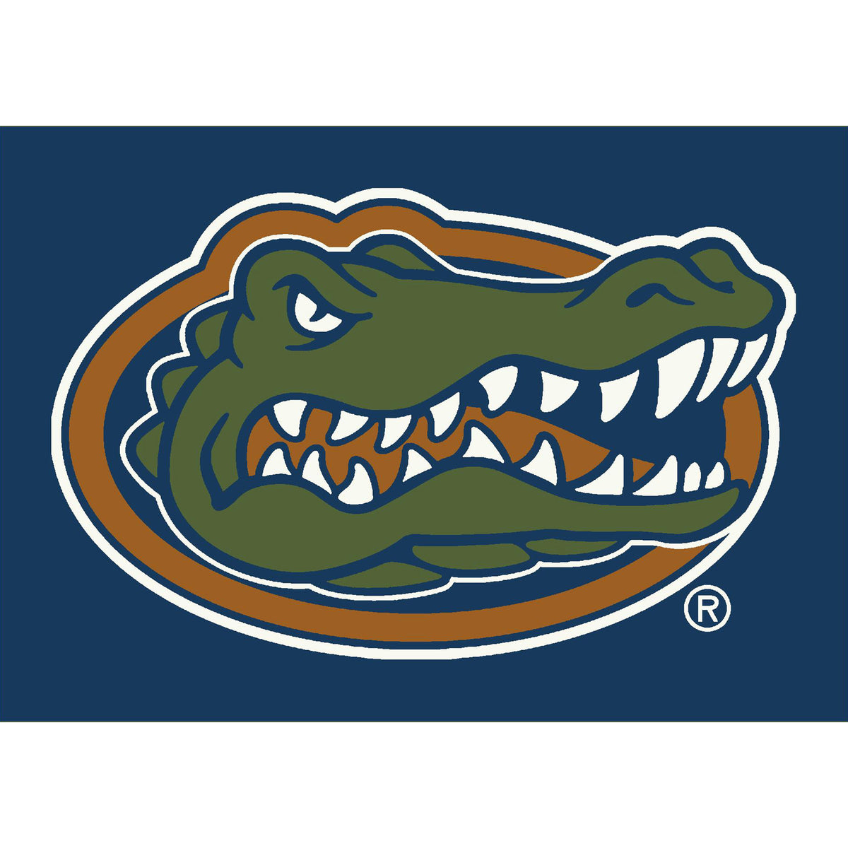 Florida Gators Imperial 3'10'' x 5'4'' Spirit Rug
