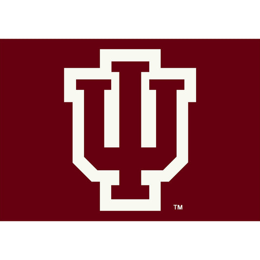 Indiana Hoosiers Imperial 3'10'' x 5'4'' Spirit Rug