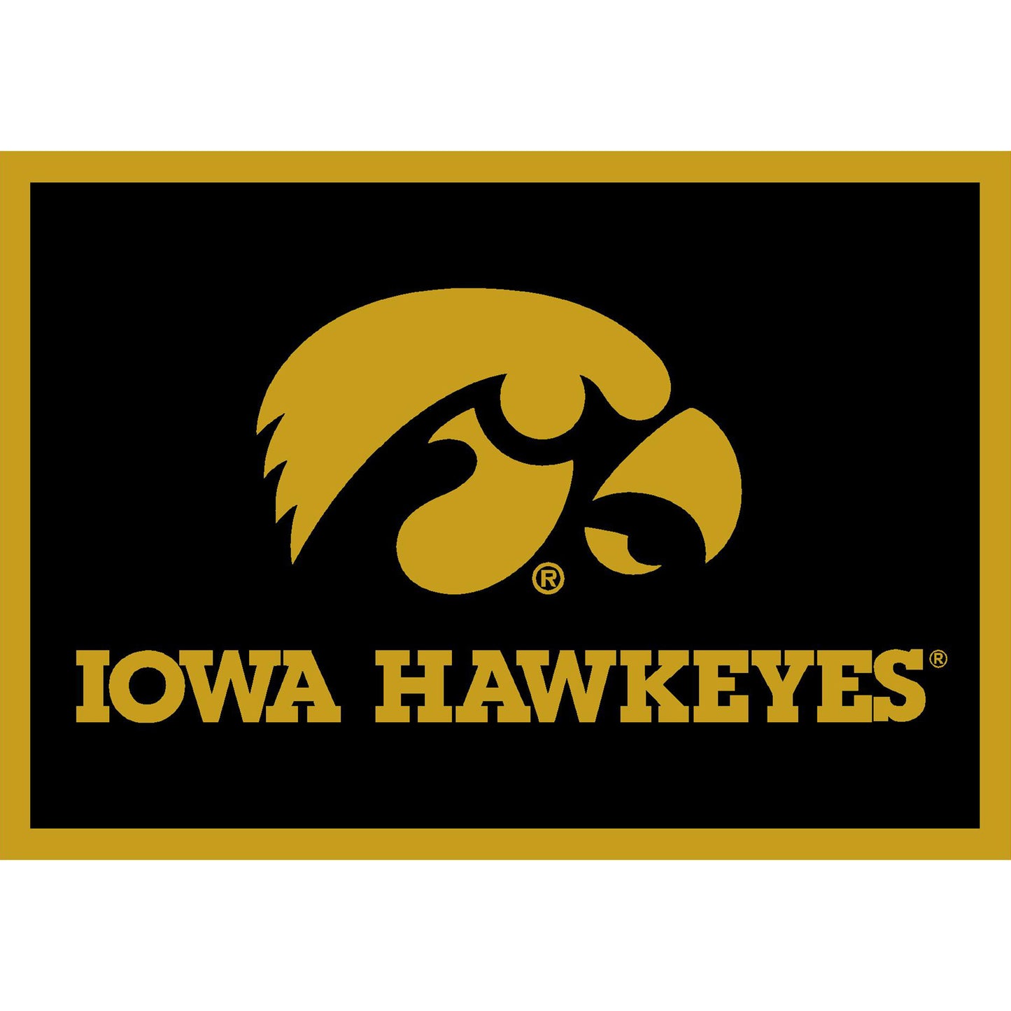 Imperial Iowa Hawkeyes 5'4'' x 7'8'' Spirit Rug