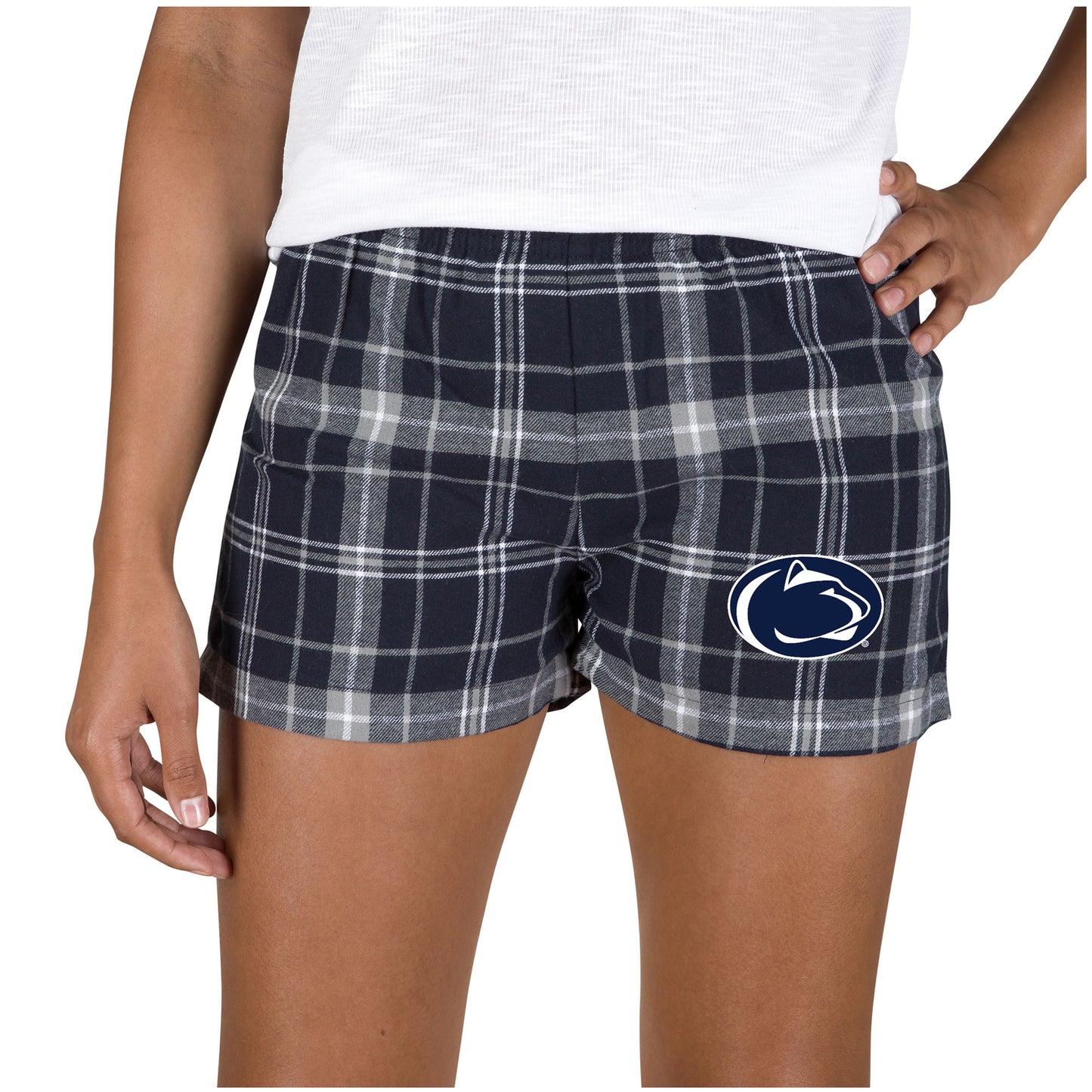 Women's Concepts Sport Navy/Gray Penn State Nittany Lions Ultimate Flannel Sleep Shorts