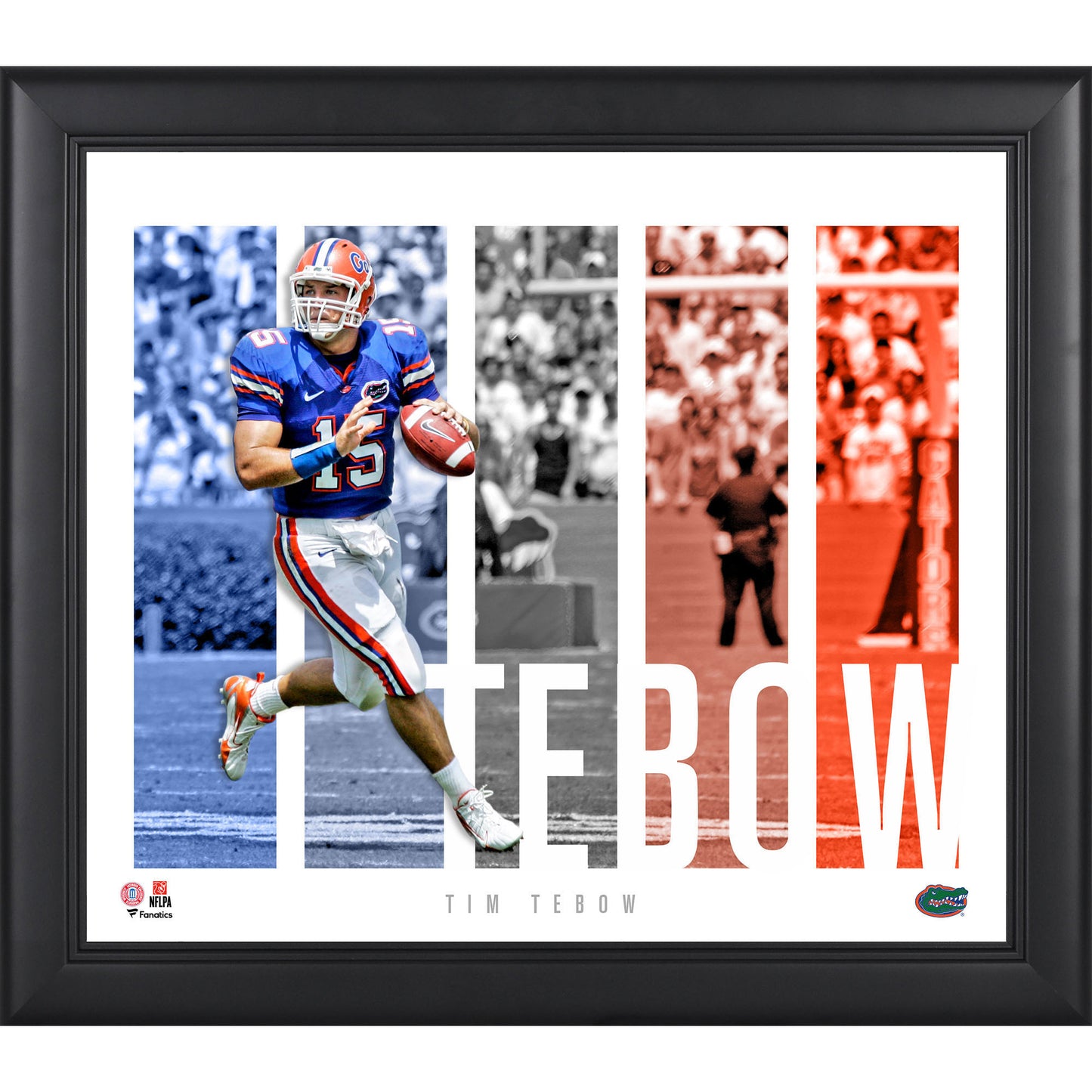 Tim Tebow Florida Gators Framed 15'' x 17'' Player Panel Collage