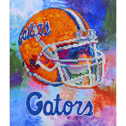 Florida Gators Diamond Art Craft Kit