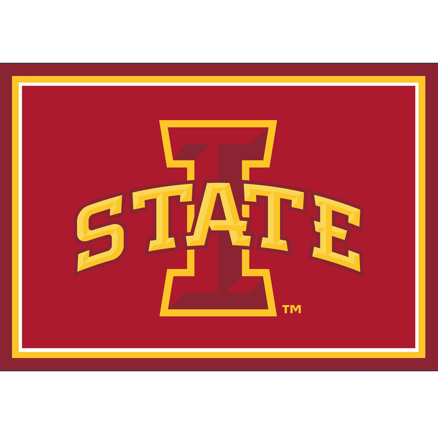 Imperial Iowa State Cyclones 2'8" x 3'10" Area Rug