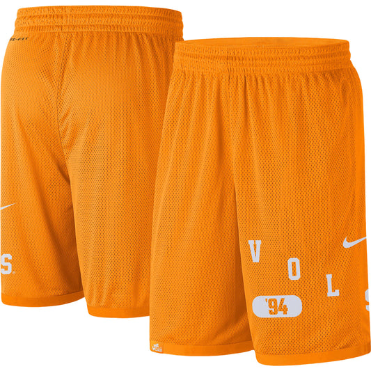 Men's Nike Tennessee Orange Tennessee Volunteers Wordmark Performance Shorts