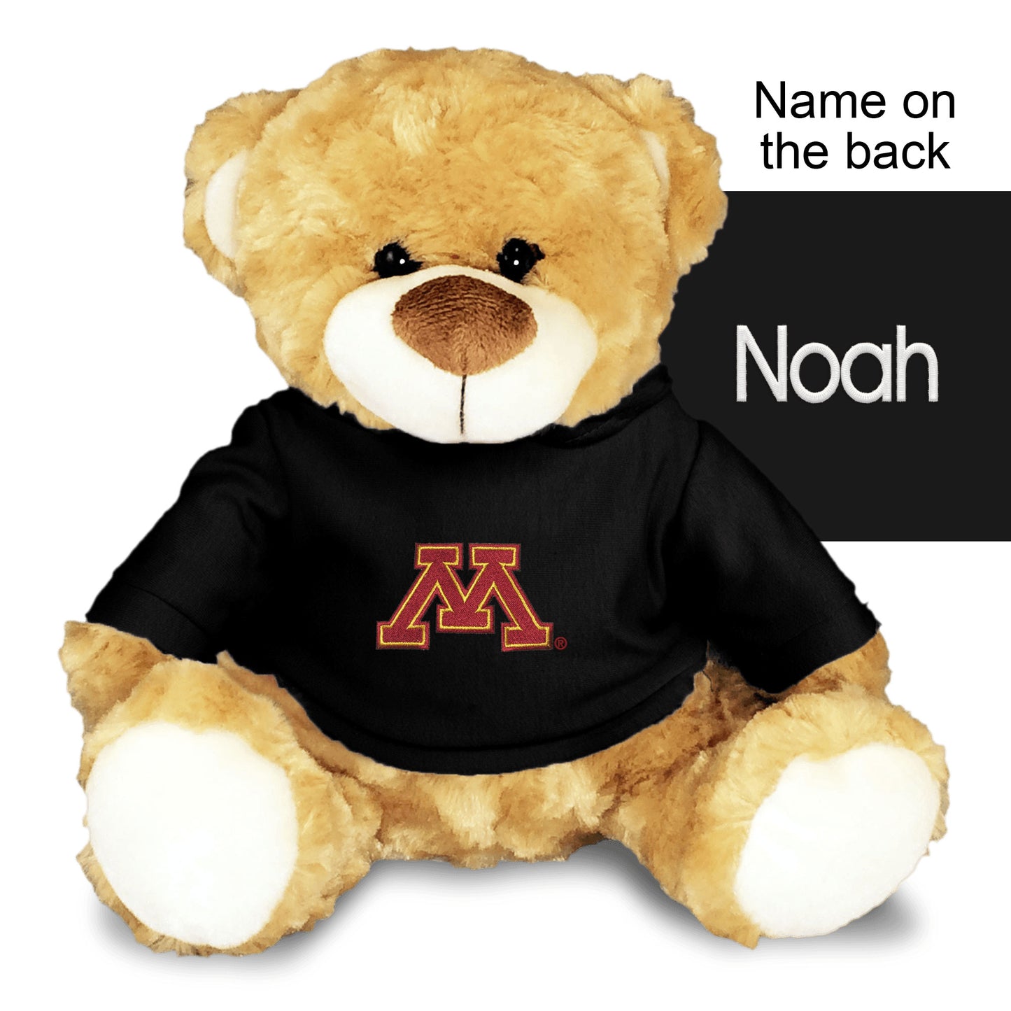 Chad & Jake Black Minnesota Golden Gophers Personalized 10'' Plush Bear