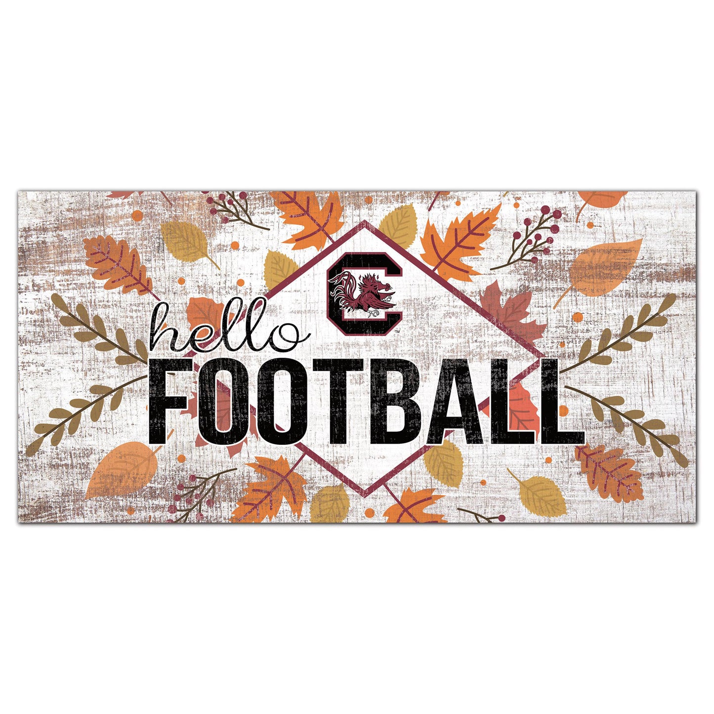 White South Carolina Gamecocks 6'' x 12'' Hello Football Wall Art