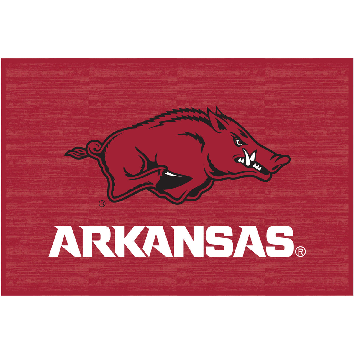 Arkansas Razorbacks 20'' x 30'' Floor Mat