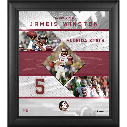 Jameis Winston Florida State Seminoles Framed 15" x 17" Stitched Stars Collage
