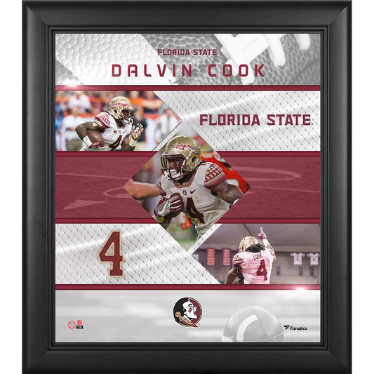 Dalvin Cook Florida State Seminoles Framed 15" x 17" Stitched Stars Collage