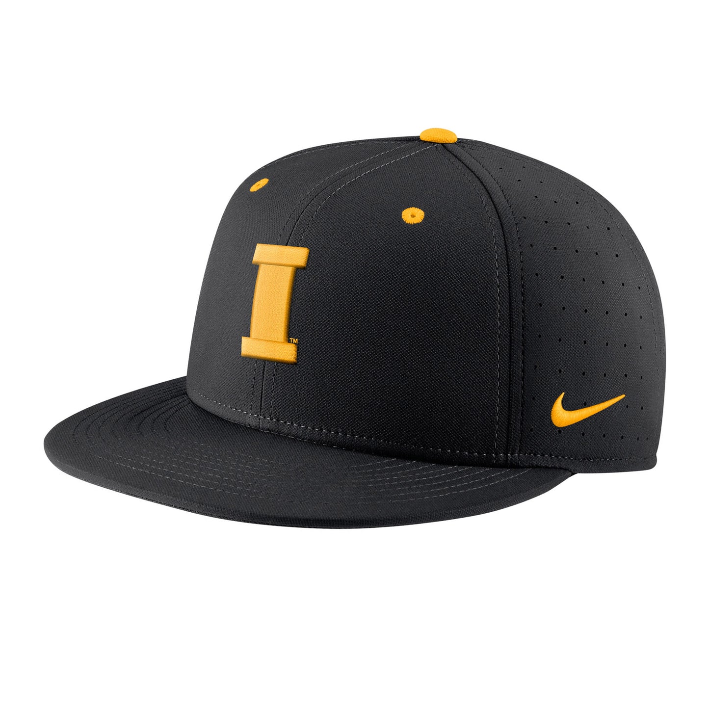 Men's Nike Black Iowa Hawkeyes Aero True Baseball Performance Fitted Hat