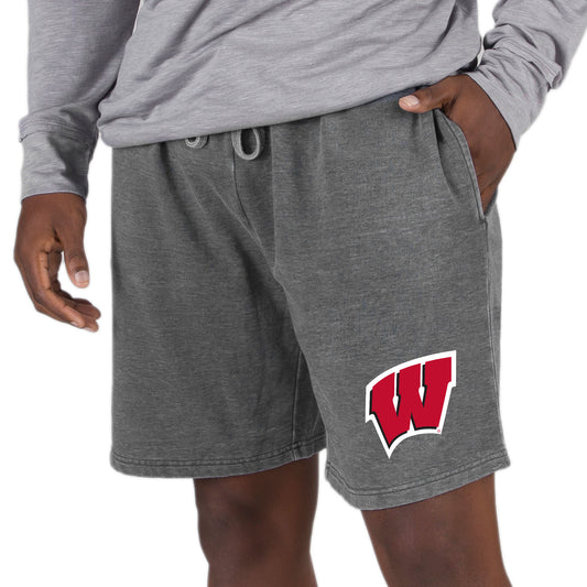 Men's Concepts Sport  Charcoal Wisconsin Badgers Trackside Fleece Jam Shorts