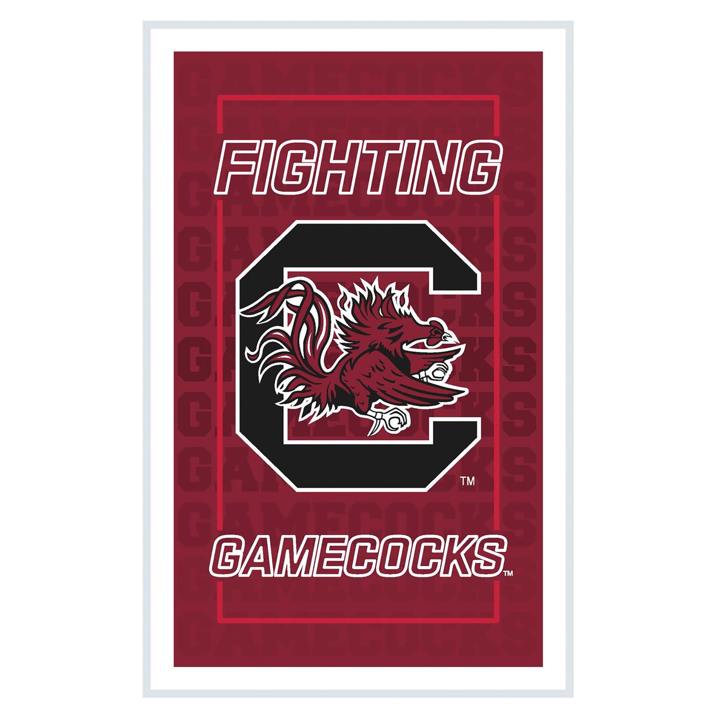 South Carolina Gamecocks 14" x 22" Neolite LED Rectangle Wall Sign