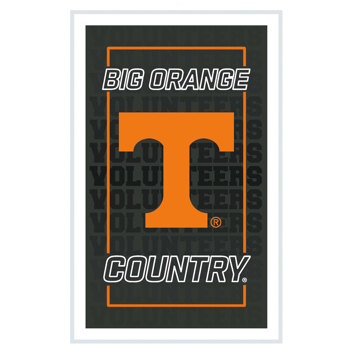 Tennessee Volunteers 14" x 22" Neolite LED Rectangle Wall Sign