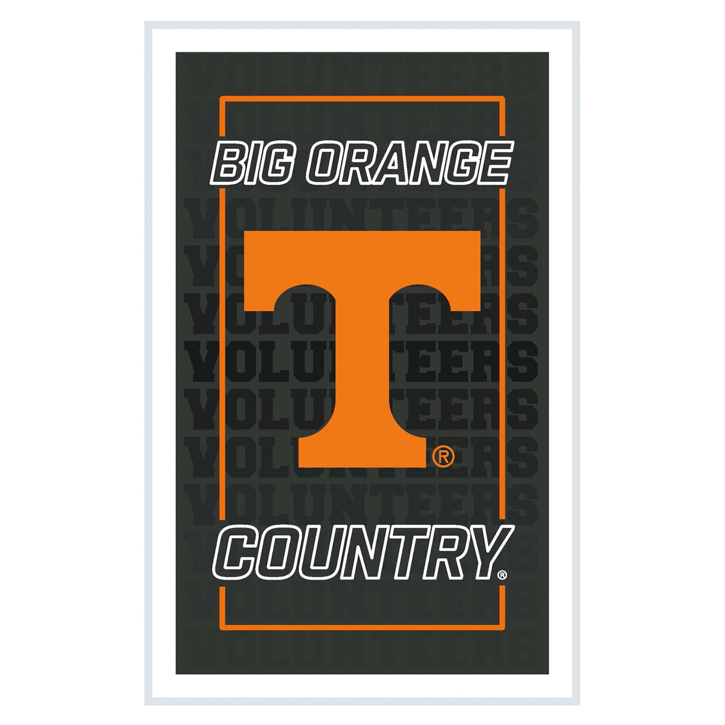 Tennessee Volunteers 14" x 22" Neolite LED Rectangle Wall Sign