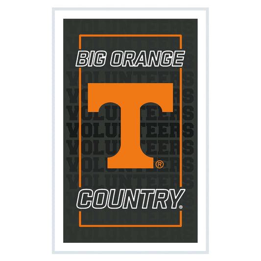 Tennessee Volunteers 14" x 22" Neolite LED Rectangle Wall Sign