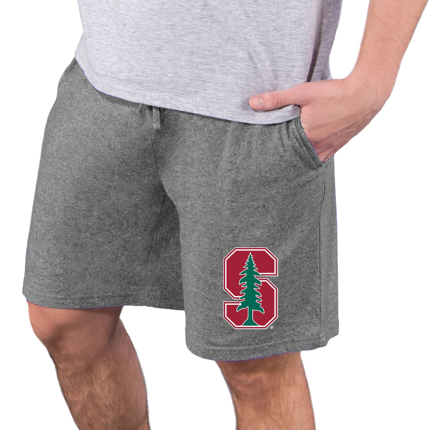 Men's Concepts Sport  Charcoal Stanford Cardinal Quest Knit Jam Shorts