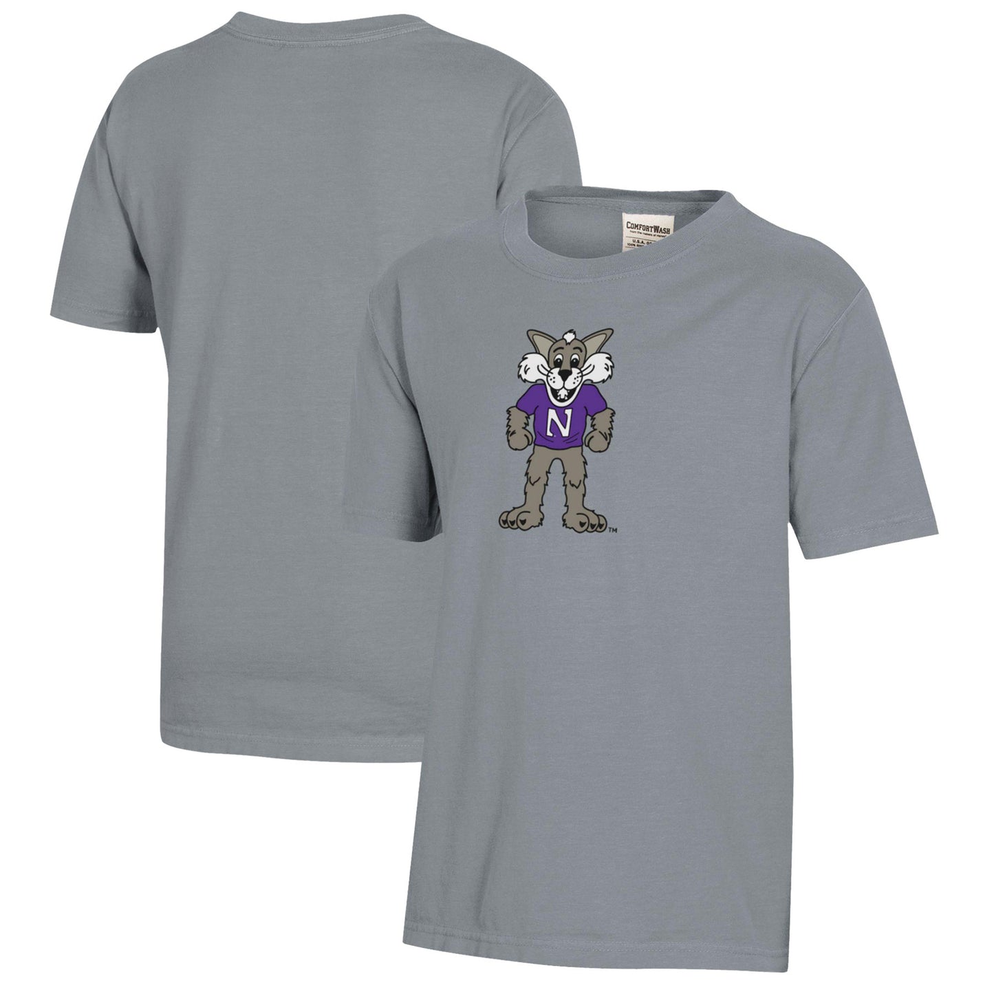 Youth  Gray Northwestern Wildcats Logo Comfort Wash T-Shirt