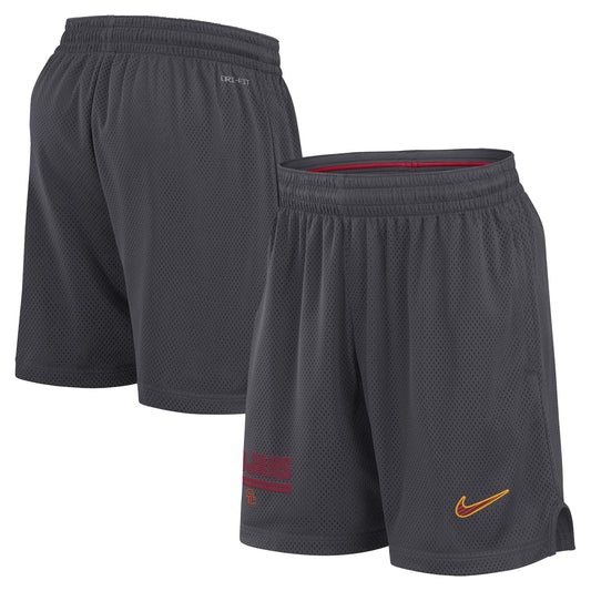 Men's Nike Anthracite USC Trojans 2024 Sideline Mesh Shorts