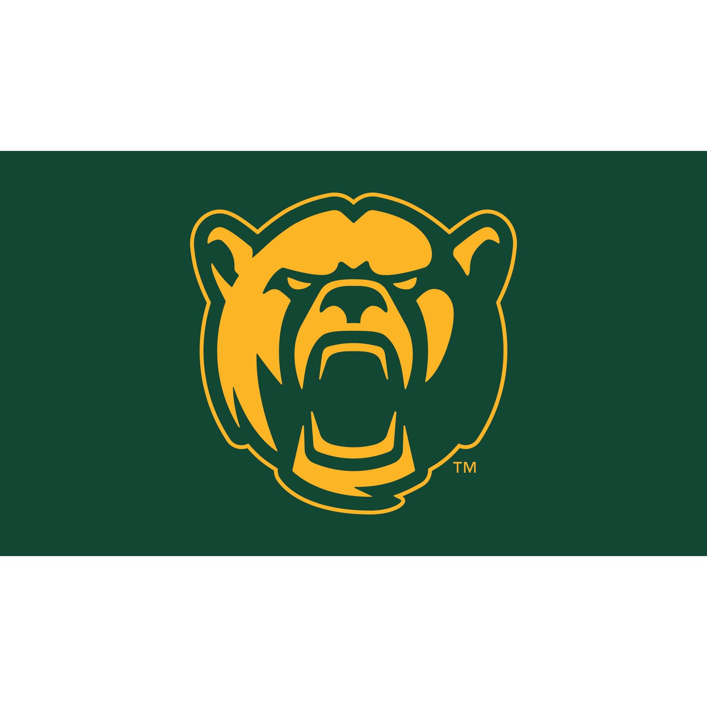 Baylor Bears 28" x 16" Turf Mat