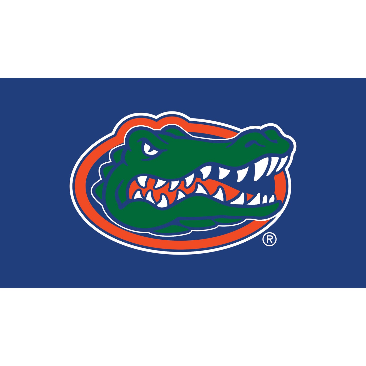 Florida Gators 28" x 16" Turf Mat