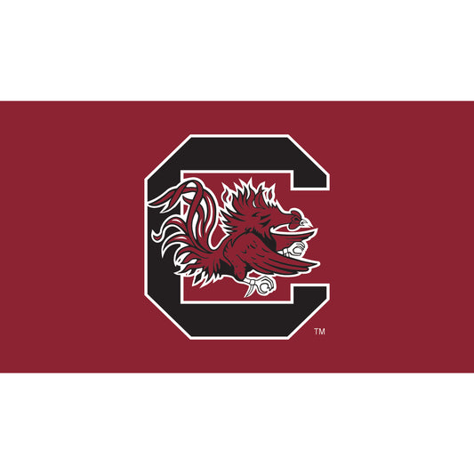 South Carolina Gamecocks 28" x 16" Turf Mat