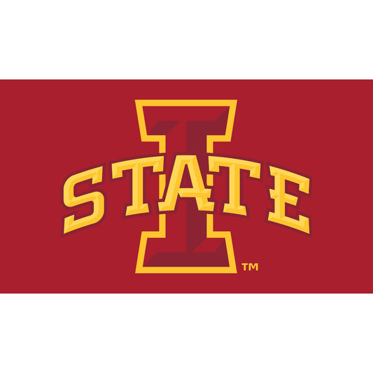 Iowa State Cyclones 28" x 16" Turf Mat