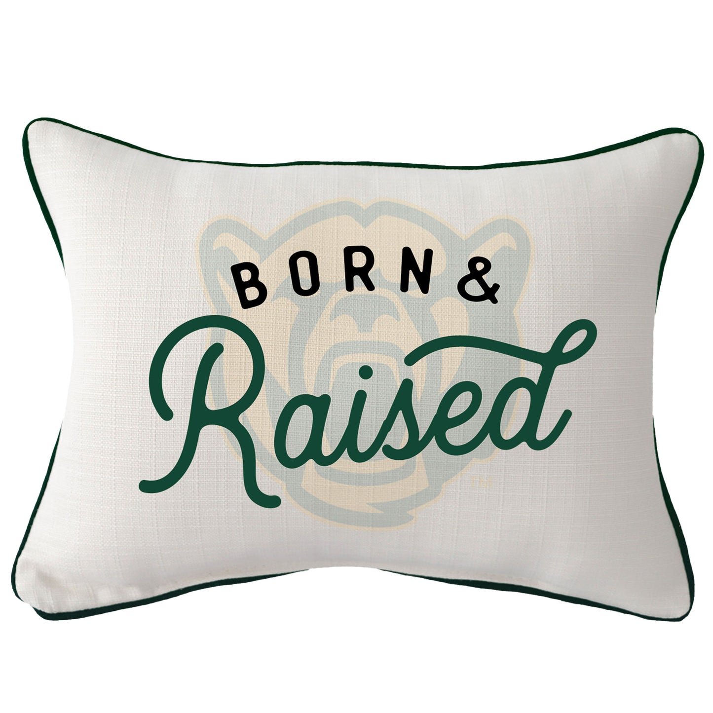 Baylor Bears  Rectangular Piped Pillow