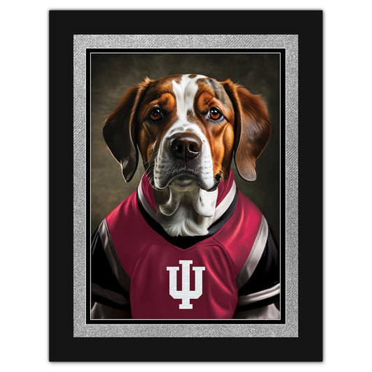 Indiana Hoosiers 12'' x 16'' Framed Dog In Jersey Print