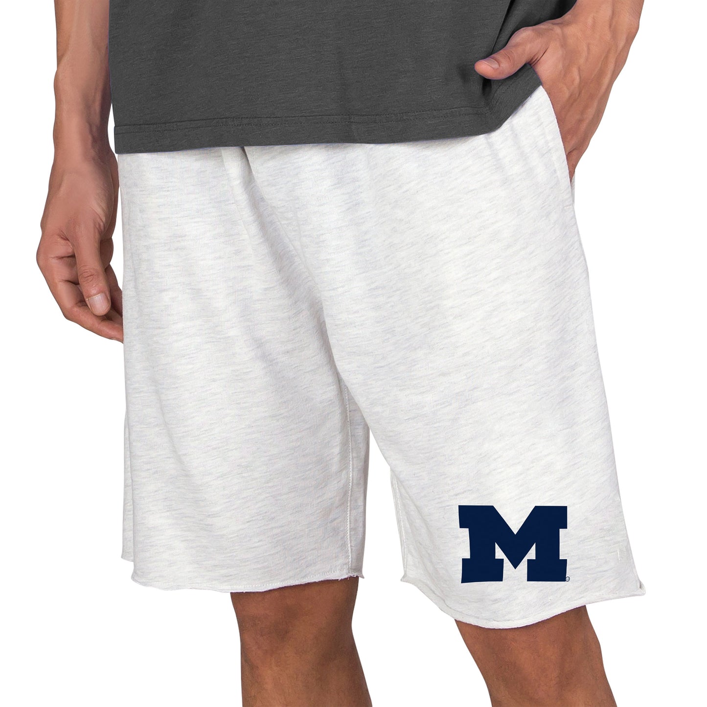 Men's Concepts Sport Oatmeal Michigan Wolverines Mainstream Tri-Blend Shorts