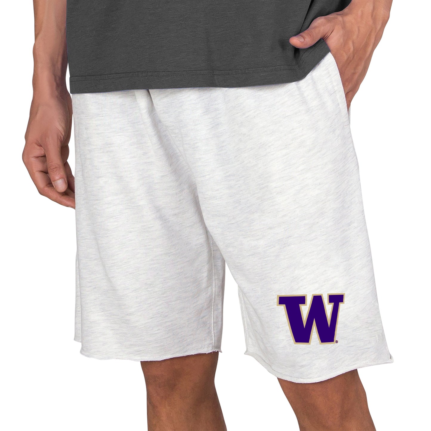 Men's Concepts Sport Oatmeal Washington Huskies Mainstream Tri-Blend Shorts