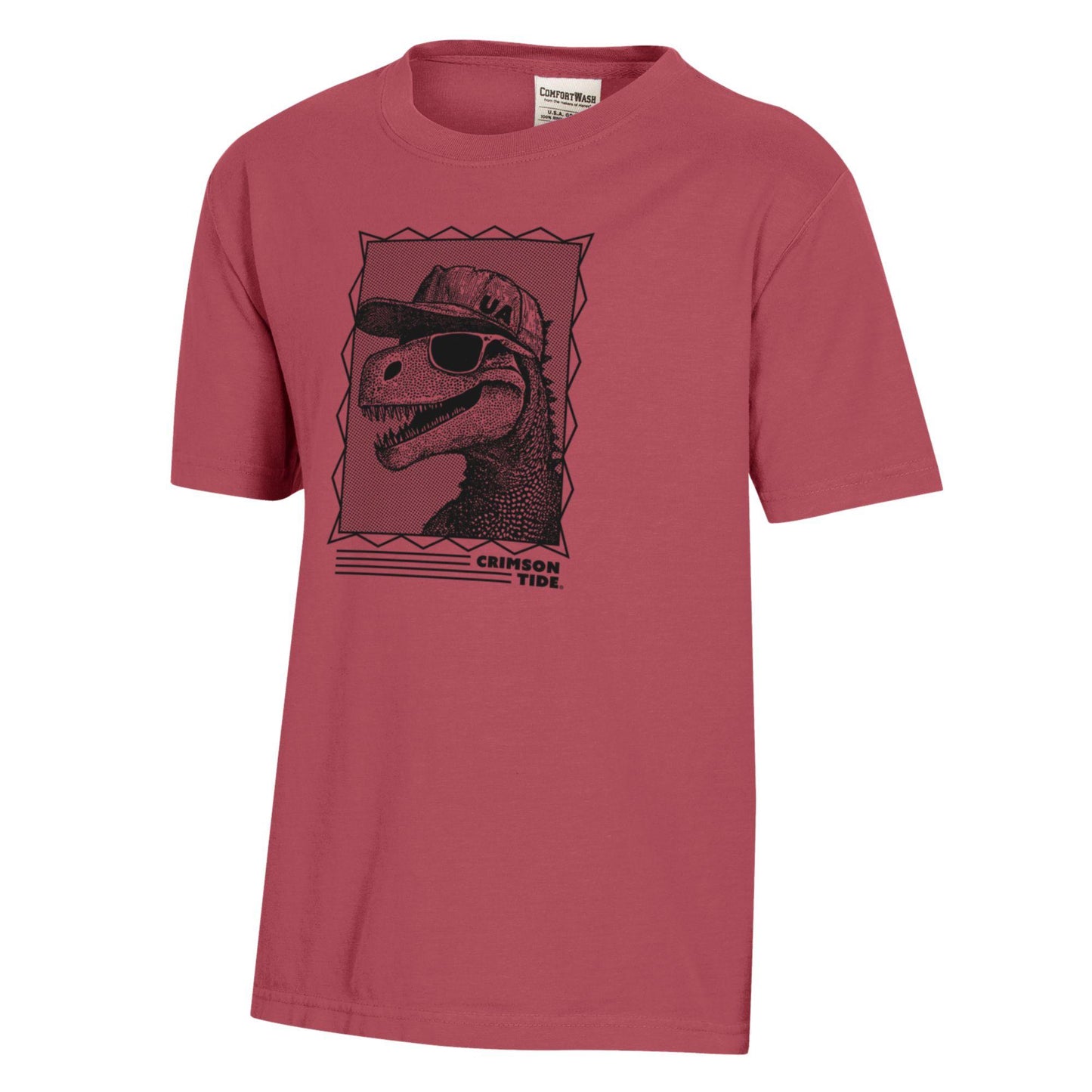 Youth ComfortWash Crimson Alabama Crimson Tide Dino Cap T-Shirt