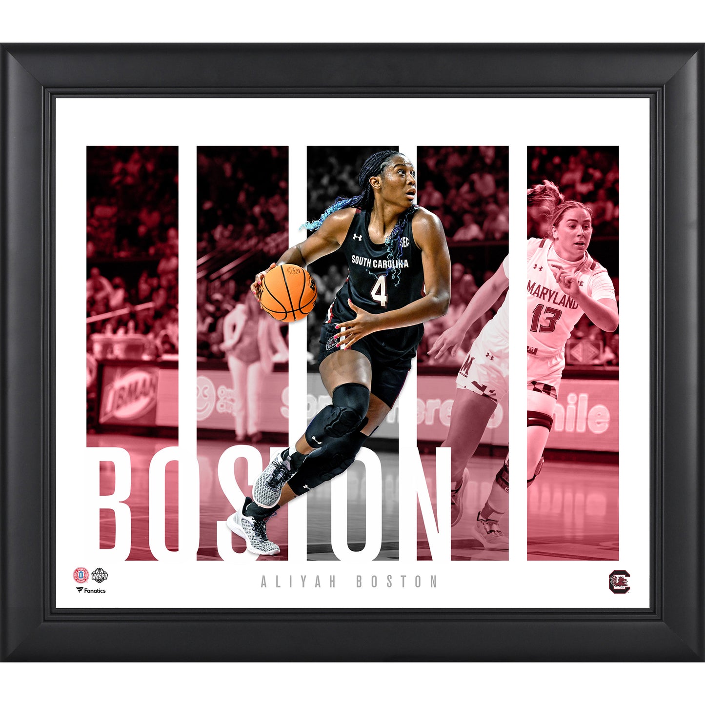 Aliyah Boston South Carolina Gamecocks Framed 15" x 17" Player Panel Collage