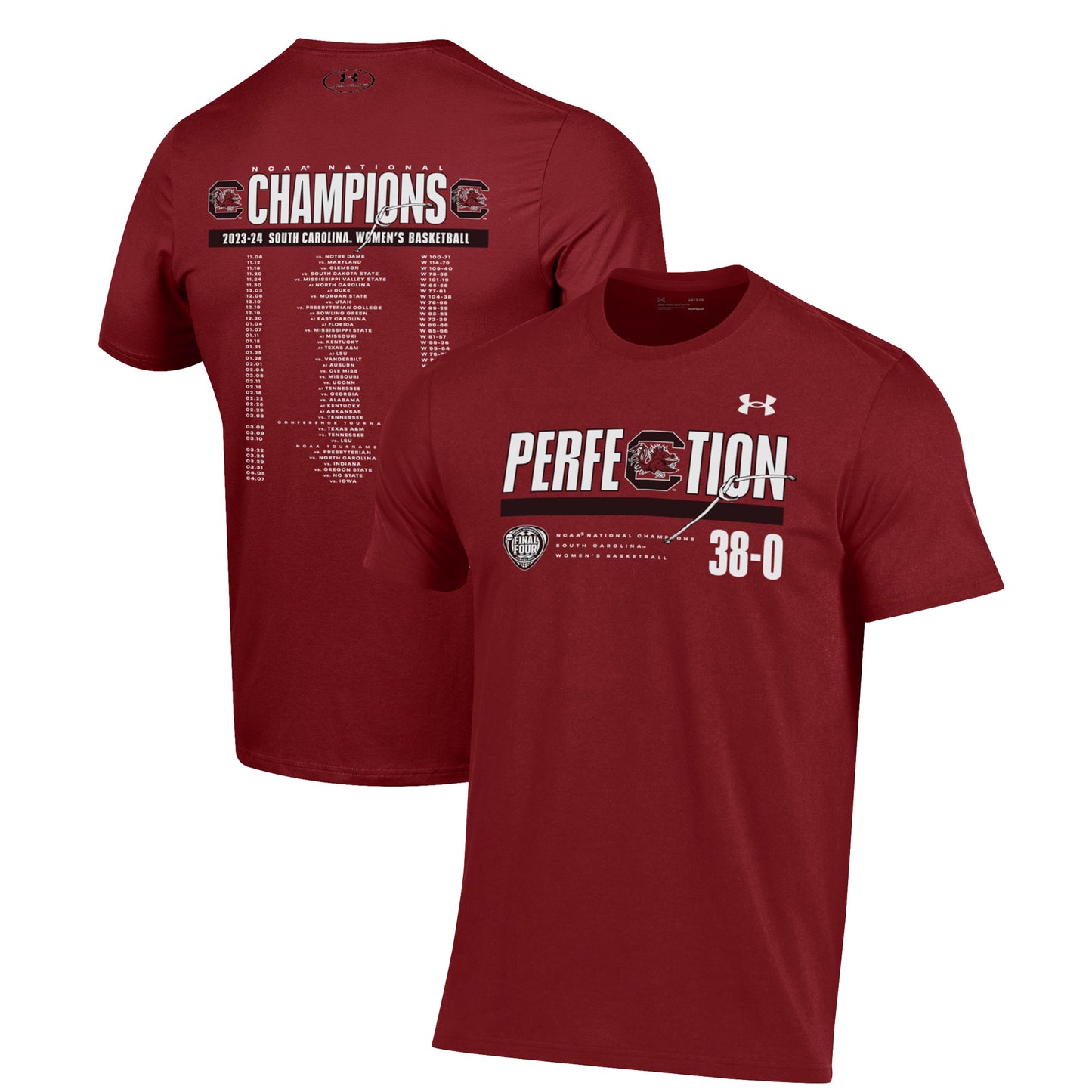 Men's Under Armour Garnet South Carolina Gamecocks 2024 NCAA Women's Basketball National Champions Perfection Schedule All Over Print T-Shirt